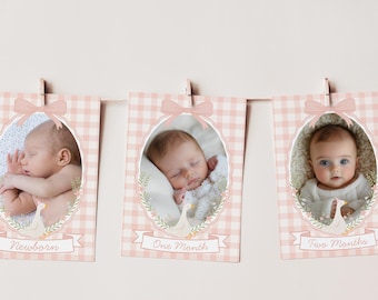 Silly Goose Birthday Photo Milestone Banner, One Silly Goose Party, Editable Template, Pink Gingham Monthly Milestone, Photo Collage Decor