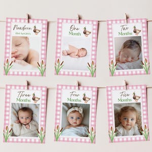 Pink Mallard Duck Birthday Photo Banner, One Lucky Duck First Party Theme, Editable Template, First Year Monthly Milestone, Picture Decor