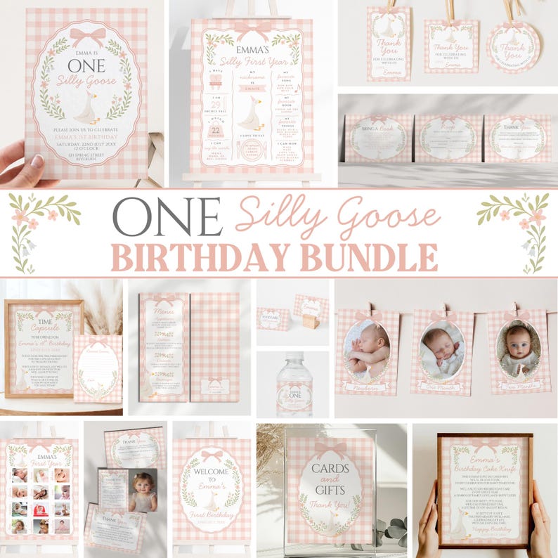 May include: A collection of pink and white gingham-patterned birthday party supplies. The bundle includes invitations, banners, thank you cards, and a sign that reads "Cards and Gifts". The theme is "One Silly Goose".