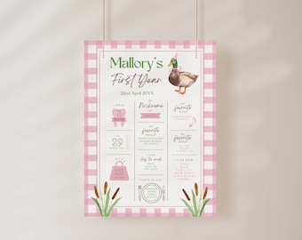 Pink Duck Hunting First Birthday Decorations - One Lucky Duck Backdrop & Mallard Party Supplies