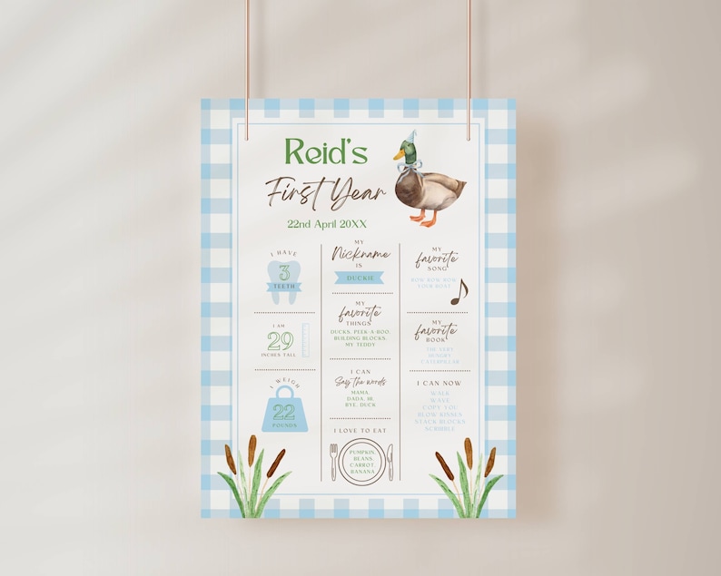 May include: A blue and white gingham background with a duck wearing a party hat. The text "Reid's First Year" is at the top of the page. The page also includes information about the child's first year, such as the number of teeth, favorite things, and favorite foods.