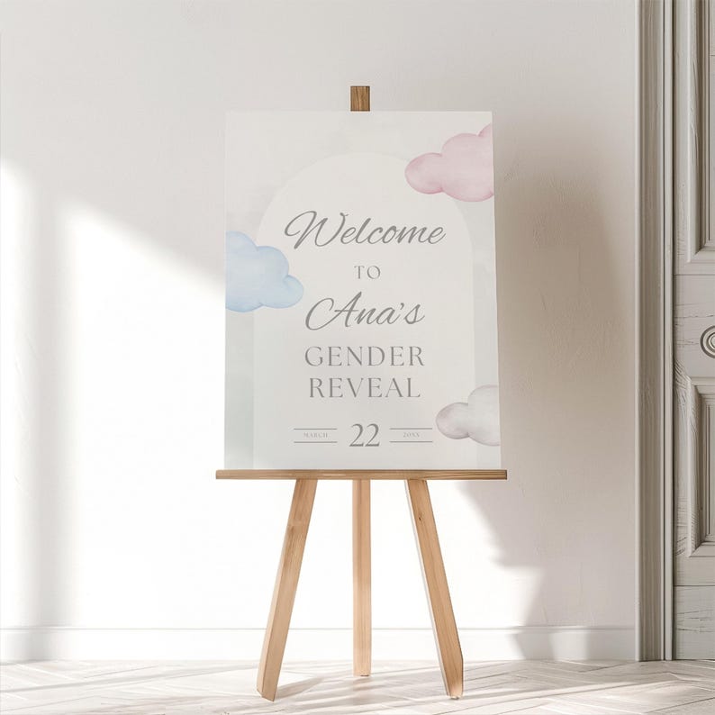 May include: A white sign on a wooden easel with the text "Welcome to Ana's Gender Reveal" in elegant script. The sign features watercolor clouds in pink, blue, and white. The date "22" is displayed below the text.