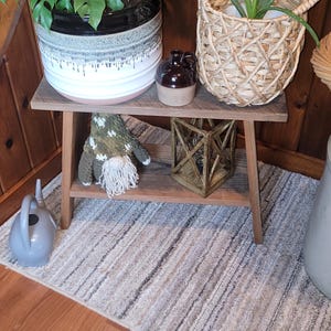 May include: A small wooden table with a shelf, holding potted plants, a woven basket, and decorative items. The plants include a Monstera and aloe vera. A gray watering can sits on the floor. The table is on a striped rug.