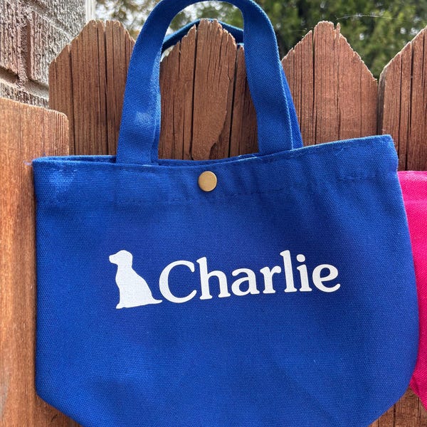 Personalized Kids Canvas Tote Bag | Custom Name Toddler, Mini Adventure