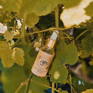 Pavé de bonnes intentions - Quantum Leap Oil