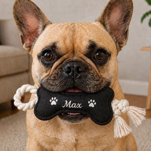 May include: A tan French Bulldog holds a black bone-shaped dog toy with the name "Max" and paw prints embroidered on it. The toy has a white rope attached. The dog is indoors, with a couch and side table in the background.