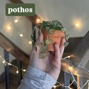 Beaded Plant Sun Catcher | Handmade Crystal Flower Sculpture, Terracotta Pot, Pothos Plant