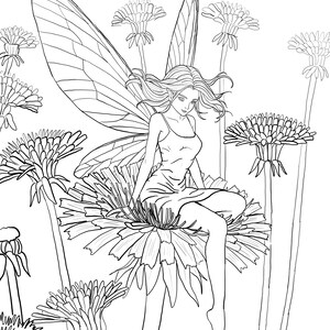 May include: Black and white line art illustration of a fairy sitting on a dandelion. The fairy has long flowing hair and large detailed wings. The fairy is wearing a simple dress. Dandelions are in the background.
