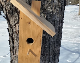 Handcrafted Cedar Bird House – Easy Clean-Out, Hanging or Mount