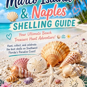 May include: A digital guide titled Marco Island & Naples Shelling Guide featuring text about a beach treasure hunt. The image displays various seashells, a sand dollar, and a starfish on a sandy beach with a tropical ocean background.