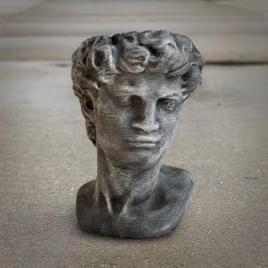 May include: A gray bust of a classical male figure, likely a sculpture of David. The bust is made of a textured material, with detailed facial features and curly hair. The sculpture is set against a neutral background.