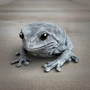 May include: A gray frog sculpture with large, dark brown eyes and detailed textured skin. The frog is in a seated position with its front and back feet visible. The sculpture has a whimsical, cartoonish appearance.
