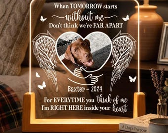 Personalized Pet Photo Memorial Night Light, Gifts For Loss Of Pet, When Tomorrow Starts Without Me Plaque LED Lamp, Dog Cat Memorial Gifts