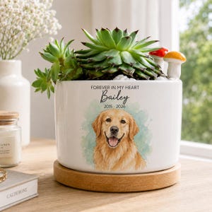 Peut inclure: Un pot de fleurs en céramique blanche sur une base en bois ronde contenant une plante succulente verte et deux petites figurines de champignons. Le pot présente une illustration aquarelle d'un golden retriever, le texte "FOREVER IN MY HEART", "Bailey" et "2015 - 2026".