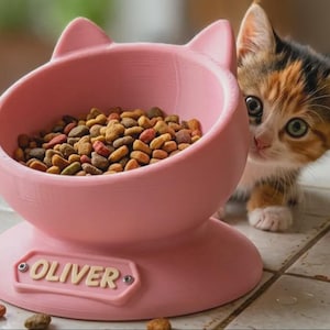 May include: A pink cat-shaped pet bowl with a wide, circular base and a raised rim featuring two small ears. The front of the base displays a rectangular nameplate with the name OLIVER in raised lettering, secured by two small silver screws.
