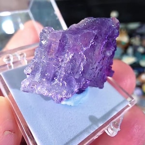 May include: A raw, deep purple fluorite crystal specimen with a cubic, translucent structure. The mineral is displayed inside a clear, square plastic display box with a light blue foam base, showcasing its natural geometric facets and texture.