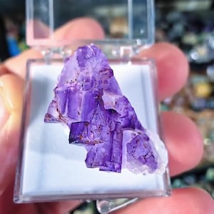 May include: A vibrant purple fluorite crystal cluster with cubic formations and dark mineral inclusions, displayed inside a clear, square plastic display box with a white base. The mineral specimen features translucent facets and sharp edges.