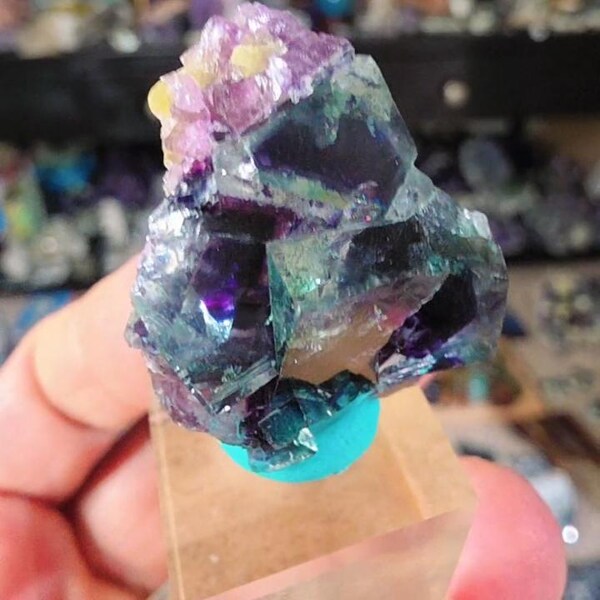 Rainbow Fluorite Cubic Cluster with Druzy | Purple Blue Green Mineral Specimen