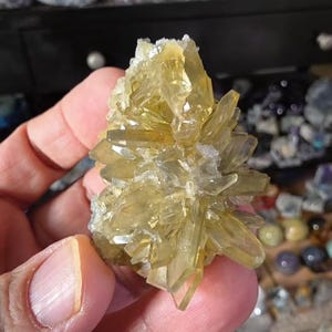 May include: A cluster of yellow-gold crystals, held in a hand, showcasing a natural mineral formation. The crystals have sharp, pointed edges and a translucent quality, with a slightly rough texture. The background is blurred, highlighting the mineral's details.