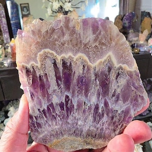 May include: A flat, polished slice of amethyst crystal featuring deep purple, translucent sections at the base that transition into lighter, opaque white and tan bands near the top edge, showcasing natural mineral formations and jagged textures.