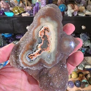 May include: A geode slice with a central cavity featuring a pattern of orange, black, and gray hues, surrounded by concentric rings of white, brown, and gray. The outer surface is covered in small, sparkling crystals.