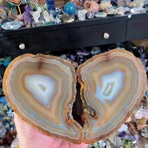 May include: Two halves of a polished agate geode, showcasing concentric bands of brown, tan, white, and blue hues. The natural stone has a central crystalline cavity. The background features a collection of various crystals and gemstones.