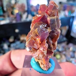May include: A cluster of translucent, reddish-brown crystalline mineral formations with sharp, angular facets. The specimen is mounted upright on a small, circular, bright turquoise base, showcasing a vibrant contrast between the warm earth tones of the crystal and the vivid blue support.