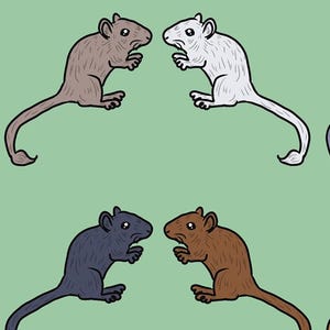 Pode incluir: Uma ilustração digital apresentando oito pequenos roedores dispostos em quatro pares, cada um voltado para o outro. Os roedores são representados em várias cores sólidas, incluindo castanho claro, branco, azul-acinzentado, cinzento escuro, preto e castanho.