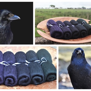 Batts de ala de cuervo