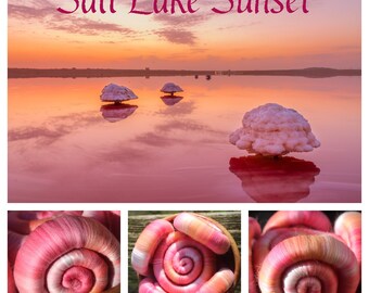 Salt Lake Sunset rolags - 100g