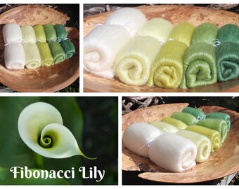 Fibonacci Lily - 130g