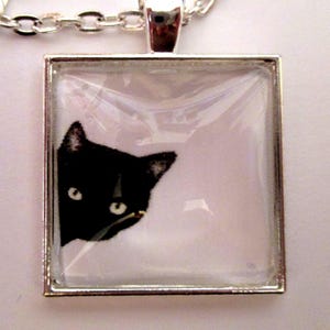 Curious Black Cat Glass Silver Pendant