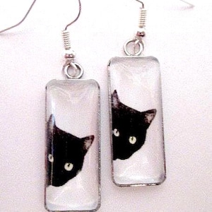 Curious Black Cat Glass Rectangle Earrings