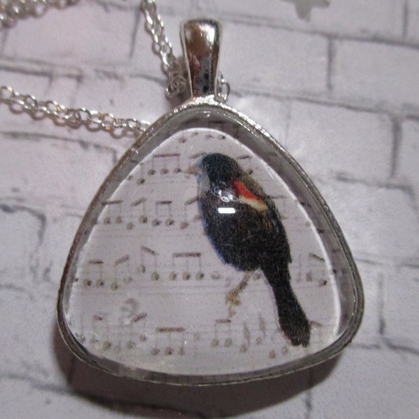 Music Sheet with Redwing Blackbird Glass Silver Pendant