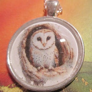 White Barn Owl Silver Glass Pendant - one item