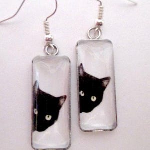 Curious Black Cat Glass Rectangle Earrings