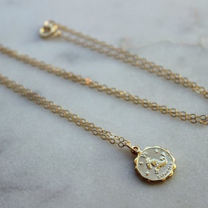 Steinbock, Steinbock Halskette, Gold Steinbock Schmuck, Steinbock Münze Halskette, Sternzeichen Halskette, Steinbock Celestial Schmuck, Steinbock Geschenk