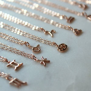 May include: A set of 12 gold-toned zodiac necklaces with delicate chains. Each necklace features a different zodiac symbol, including Aries, Taurus, Gemini, Cancer, Leo, Virgo, Libra, Scorpio, Sagittarius, Capricorn, Aquarius, and Pisces.
