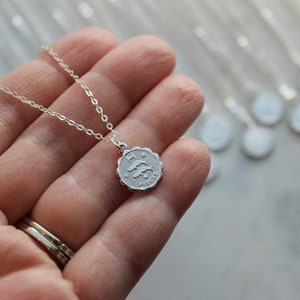 Puede incluir: Un collar de plata con un colgante de plata que representa el signo del zod&iacute;aco de Piscis. El colgante es redondo y tiene un borde festoneado.