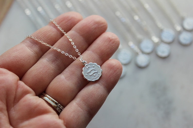 Puede incluir: Un collar de plata con un colgante de plata que representa el signo del zod&iacute;aco de Piscis. El colgante es redondo y tiene un borde festoneado.