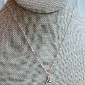 May include: A rose gold necklace with a delicate, cursive letter 'L' pendant.