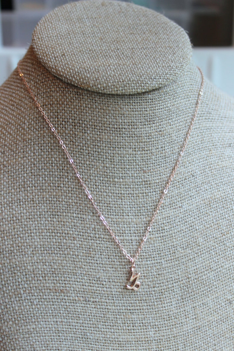 May include: A rose gold necklace with a delicate, cursive letter 'L' pendant.