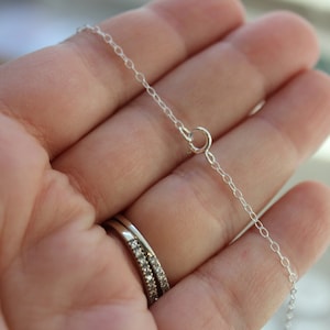 May include: A silver chain necklace with a lobster clasp closure.
