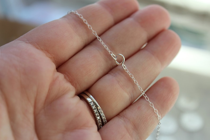 May include: A silver chain necklace with a lobster clasp closure.
