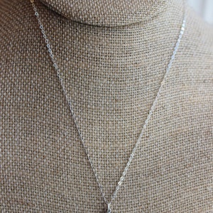Puede incluir: Un collar de cadena de plata con un peque&ntilde;o dije de plata con el s&iacute;mbolo astrol&oacute;gico de Piscis. El collar se muestra en un maniqu&iacute; de arpillera marr&oacute;n.