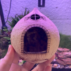 May include: A natural coconut shell house with a decorative arched doorway and a small window. The house is designed with etched details and is likely intended for small pets or as an aquarium decoration. The coconut shell is held by a person.