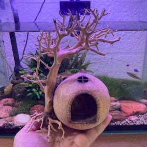 May include: A decorative aquarium ornament featuring a light-colored, miniature tree with a small, round, hut-shaped structure. The hut has an arched doorway and a cross-shaped window. The ornament is designed to enhance the aesthetic of an aquarium.