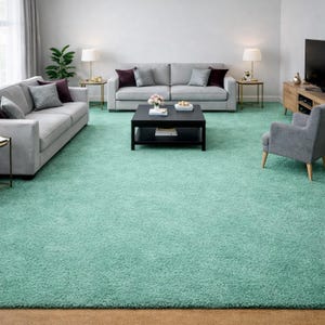May include: A living room with a large, light green shag carpet. Two gray sofas with decorative pillows face each other. A black coffee table sits in the center, and a gray armchair is to the right. Two side tables with lamps are visible.