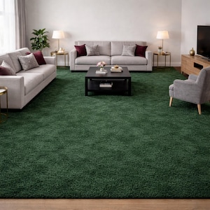 May include: A living room scene featuring a large, emerald green shag rug. Two light gray sofas with burgundy and gray accent pillows face each other. A black coffee table sits in the center, and a gray armchair is to the right.