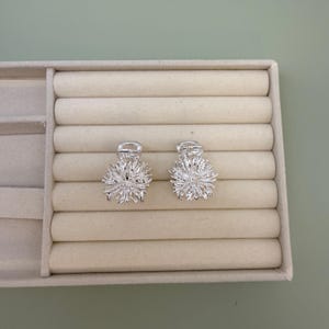 May include: Two silver-colored, spiky hair clips are displayed on a beige, segmented jewelry tray. The clips have a detailed, textured design, resembling a burst of light or a stylized flower. The background is a light green color.